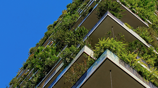 Why brands should disrupt sustainability