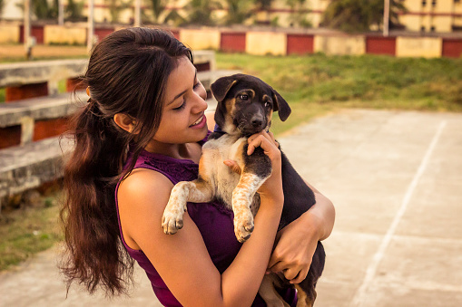 FMCG companies eye India’s growing pet market 