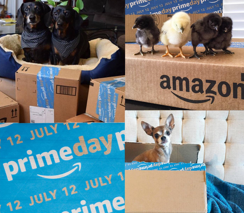 Amazon Prime Day awareness boosts other Singapore retailers