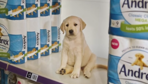 Andrex looks to a brand icon and product quality 