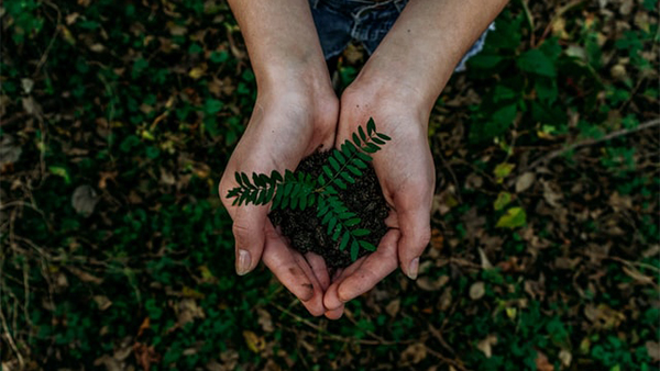 How brands can rethink their sustainability approach