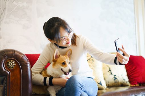 China’s ‘fur babies’ offer opportunities for connection 