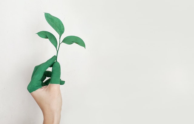 How brands can tackle the greenwashing problem